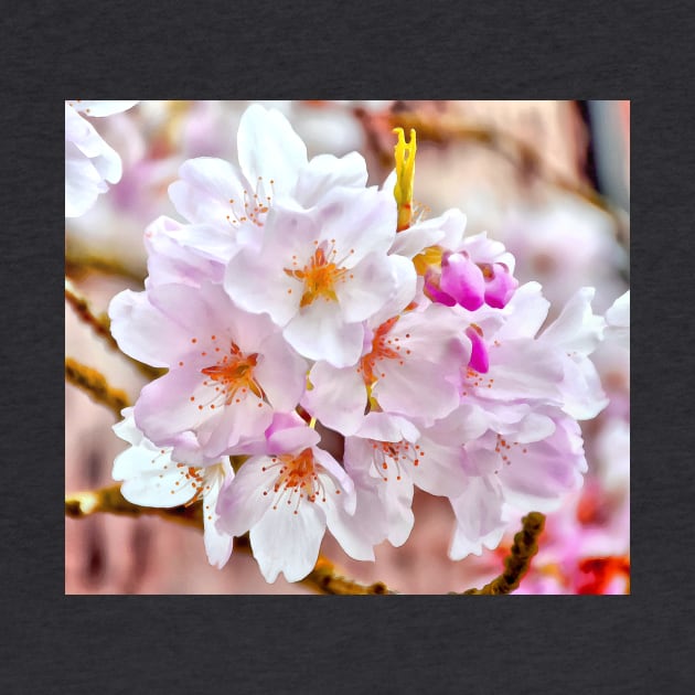 Delicate Washington Cherry Blossoms Macro - Watercolor Effect by SeaChangeDesign